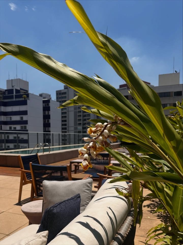 Lounge Jardim